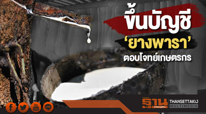 ขึ้นบัญชี ‘ยางพารา’ ตอบโจทย์เกษตรกร ขึ้นบัญชี ‘ยางพารา’ ตอบโจทย์เกษตรกร