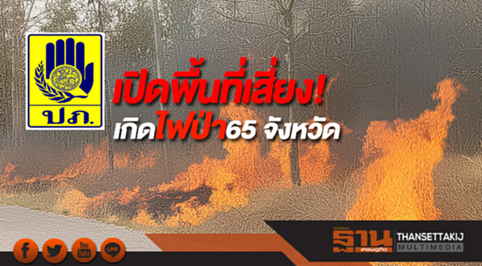 ปภ.เปิดพื้นที่เสี่ยงต่อการเกิดไฟป่า 65 จังหวัด ปภ.เปิดพื้นที่เสี่ยงต่อการเกิดไฟป่า 65 จังหวัด