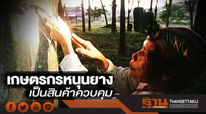 เกษตรกรหนุนยางเป็นสินค้าควบคุม เกษตรกรหนุนยางเป็นสินค้าควบคุม