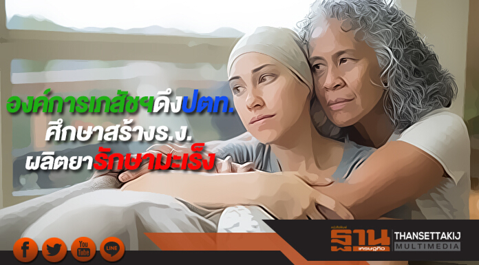 องค์การเภสัชฯดึงปตท.ศึกษาสร้างร.ง.ผลิตยารักษามะเร็ง องค์การเภสัชฯดึงปตท.ศึกษาสร้างร.ง.ผลิตยารักษามะเร็ง