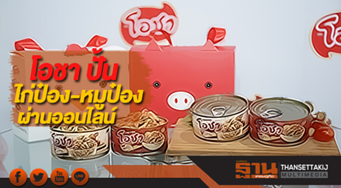 โอชา ปั้นไก่ป๋อง-หมูป๋องผ่านช่องทางออนไลน์ โอชา ปั้นไก่ป๋อง-หมูป๋องผ่านช่องทางออนไลน์