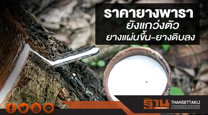 ราคายางพารายังแกว่งตัว ยางแผ่นขึ้น-ยางดิบลง-สหภาพฯค้านเอกชนเก็บเงินเซสส์ ราคายางพารายังแกว่งตัว ยางแผ่นขึ้น-ยางดิบลง-สหภาพฯค้านเอกชนเก็บเงินเซสส์