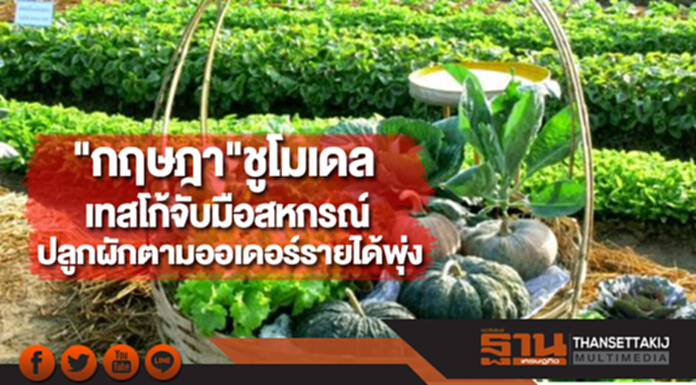 "กฤษฎา"ชูโมเดลต้นแบบเทสโก้จับมือสหกรณ์ปลูกผักตามออเดอร์รายได้พุ่ง "กฤษฎา"ชูโมเดลต้นแบบเทสโก้จับมือสหกรณ์ปลูกผักตามออเดอร์รายได้พุ่ง