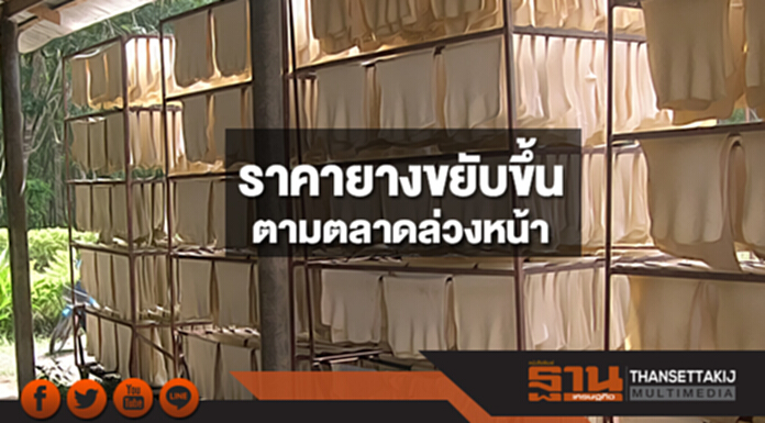 ราคายางพาราขยับขึ้นตามตลาดล่วงหน้า ราคายางพาราขยับขึ้นตามตลาดล่วงหน้า