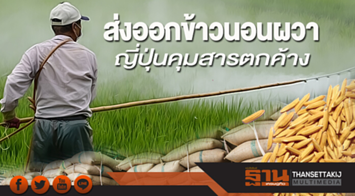 ส่งออกข้าวนอนผวา ญี่ปุ่นคุมสารตกค้าง ส่งออกข้าวนอนผวา ญี่ปุ่นคุมสารตกค้าง