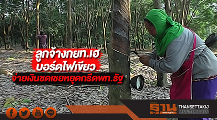 ลูกจ้างกยท.เฮบอร์ดไฟเขียวจ่ายเงินชดเชยกว่า28ล.หยุดกรีดพท.รัฐ ลูกจ้างกยท.เฮบอร์ดไฟเขียวจ่ายเงินชดเชยกว่า28ล.หยุดกรีดพท.รัฐ