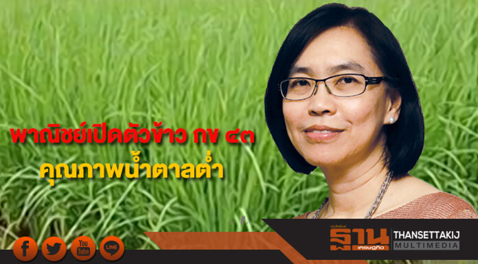 พาณิชย์เปิดตัวข้าว กข ๔๓ ข้าวคุณภาพน้ำตาลต่ำ พร้อมขยายพื้นที่ปลูก