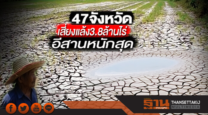 47 จังหวัดเสี่ยงแล้ง 3.8 ล้านไร่ อีสานหนักสุด-ชาวนาห่วงพ่อค้าทุบราคาข้าว 47 จังหวัดเสี่ยงแล้ง 3.8 ล้านไร่ อีสานหนักสุด-ชาวนาห่วงพ่อค้าทุบราคาข้าว