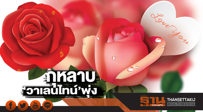 กุหลาบ‘วาเลนไทน์’พุ่ง คนไทยเห่อซื้อปลุกตลาดโต10%-นำเข้าฮอลแลนด์85บาท กุหลาบ‘วาเลนไทน์’พุ่ง คนไทยเห่อซื้อปลุกตลาดโต10%-นำเข้าฮอลแลนด์85บาท