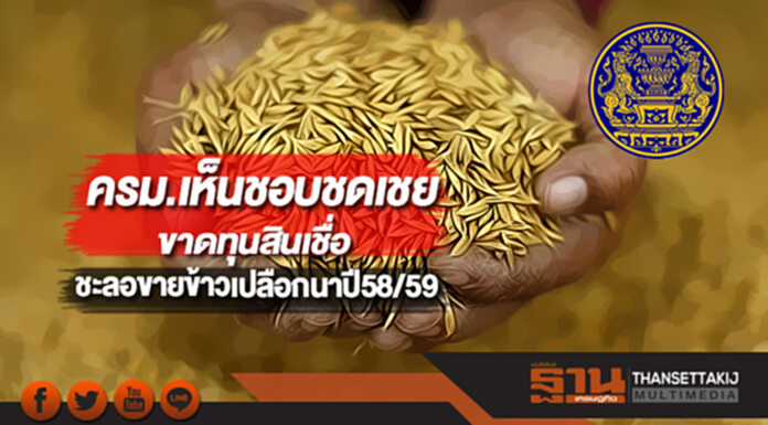 ครม.เห็นชอบชดเชยขาดทุนสินเชื่อชะลอขายข้าวเปลือกนาปี58/59วงเงิน 906ล. ครม.เห็นชอบชดเชยขาดทุนสินเชื่อชะลอขายข้าวเปลือกนาปี58/59วงเงิน 906ล.