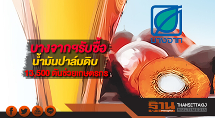 บางจากฯรับซื้อน้ำมันปาล์มดิบ13,500 ตันช่วยเกษตรกรไทย บางจากฯรับซื้อน้ำมันปาล์มดิบ13,500 ตันช่วยเกษตรกรไทย