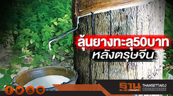 ลุ้นยางทะลุ50บาทหลังตรุษจีน พ่อค้า-ชาวสวนตุนของรอขาย-จี้รัฐเอาจริงดัน65บ./กก. ลุ้นยางทะลุ50บาทหลังตรุษจีน พ่อค้า-ชาวสวนตุนของรอขาย-จี้รัฐเอาจริงดัน65บ./กก.