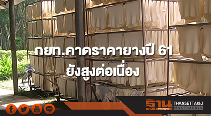 กยท.คาดราคายาง ปี 61 ยังสูงต่อเนื่อง กยท.คาดราคายาง ปี 61 ยังสูงต่อเนื่อง