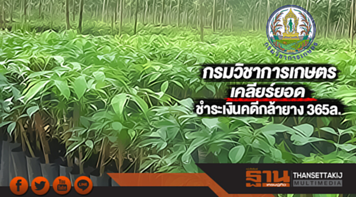 กรมวิชาการเกษตรเคลียร์ยอดชำระเงินคดีกล้ายาง 365ล. กรมวิชาการเกษตรเคลียร์ยอดชำระเงินคดีกล้ายาง 365ล.