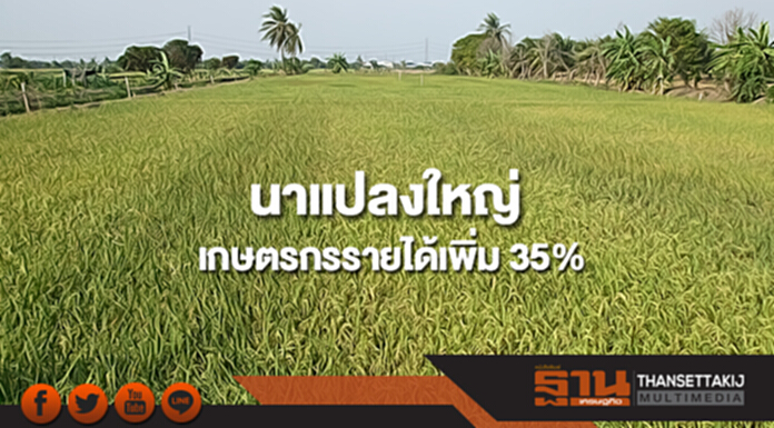 สศก.ชี้นาแปลงใหญ่ เกษตรกรรายได้เพิ่ม 35% สศก.ชี้นาแปลงใหญ่ เกษตรกรรายได้เพิ่ม 35%