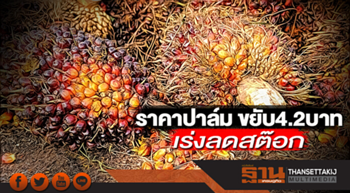 ราคาปาล์ม ขยับ 4.2 บาท เร่งลดสต๊อก ราคาปาล์ม ขยับ 4.2 บาท เร่งลดสต๊อก