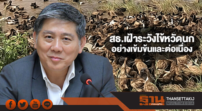 สธ.เฝ้าระวังไข้หวัดนกทุกสายพันธุ์อย่างเข้มข้นและต่อเนื่อง สธ.เฝ้าระวังไข้หวัดนกทุกสายพันธุ์อย่างเข้มข้นและต่อเนื่อง