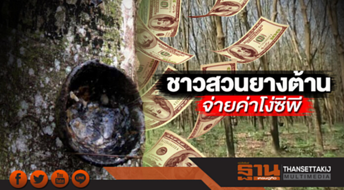 ชาวสวนยางต้านจ่ายค่าโง่ซีพี ชาวสวนยางต้านจ่ายค่าโง่ซีพี