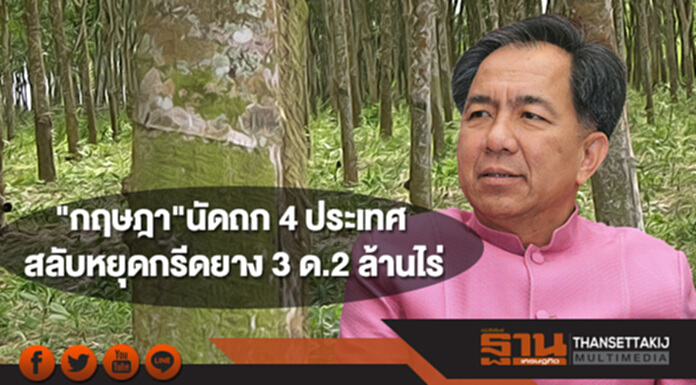 "กฤษฎา" อัดยาแรง 28 ก.พ.นัดถก 4 ประเทศสลับหยุดกรีดยาง 3 เดือน 2 ล้านไร่ "กฤษฎา" อัดยาแรง 28 ก.พ.นัดถก 4 ประเทศสลับหยุดกรีดยาง 3 เดือน 2 ล้านไร่