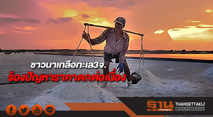 ชาวนาเกลือทะเล3จ.ร้องปัญหาราคาตกต่อเนื่อง ชาวนาเกลือทะเล3จ.ร้องปัญหาราคาตกต่อเนื่อง