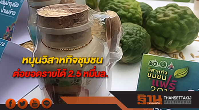 หนุนวิสาหกิจชุมชนต่อยอดรายได้ 2.5 หมื่นล. หนุนวิสาหกิจชุมชนต่อยอดรายได้ 2.5 หมื่นล.