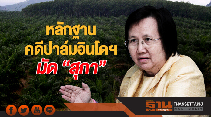 หลักฐานคดีปาล์มอินโดฯ มัด "สุภา" - "นิพิฐ" จ่อยื่น ปธ.ศาล ฟัน! ป.ป.ช. ยกเข่ง