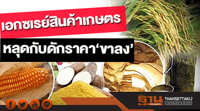 เอกซเรย์สินค้าเกษตร หลุดกับดักราคา‘ขาลง’ เอกซเรย์สินค้าเกษตร หลุดกับดักราคา‘ขาลง’