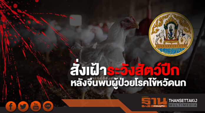 ปศุสัตว์สั่งเฝ้าระวังสัตว์ปีกหลังจีนพบผู้ป่วยโรคไข้หวัดนก ปศุสัตว์สั่งเฝ้าระวังสัตว์ปีกหลังจีนพบผู้ป่วยโรคไข้หวัดนก