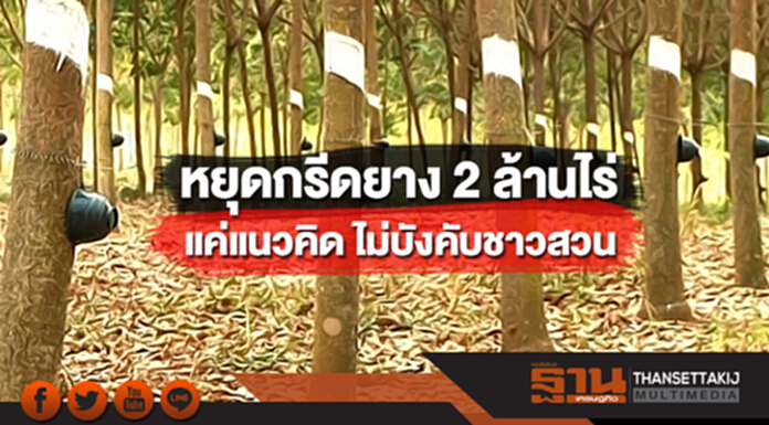 กยท.แจง"หยุดกรีดยาง 2 ล้านไร่ "แค่แนวคิด ไม่บังคับชาวสวน กยท.แจง"หยุดกรีดยาง 2 ล้านไร่ "แค่แนวคิด ไม่บังคับชาวสวน