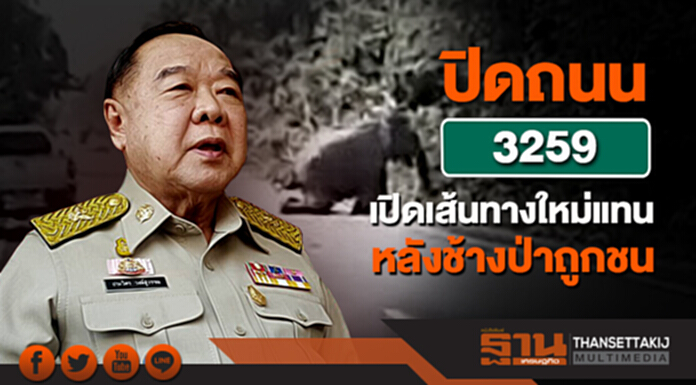 "ประวิตร" เผยจ่อปิดถนนสาย 3259 แล้วเปิดเส้นทางใหม่ หลังช้างป่าอ่างฤาไนถูกรถชน "ประวิตร" เผยจ่อปิดถนนสาย 3259 แล้วเปิดเส้นทางใหม่ หลังช้างป่าอ่างฤาไนถูกรถชน