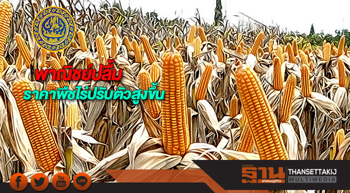 พาณิชย์ปลื้มราคาพืชไร่ปรับตัวสูงขึ้น