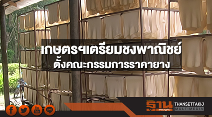 เกษตรฯเตรียมชงพาณิชย์ตั้งคณะกรรมการราคายาง เกษตรฯเตรียมชงพาณิชย์ตั้งคณะกรรมการราคายาง