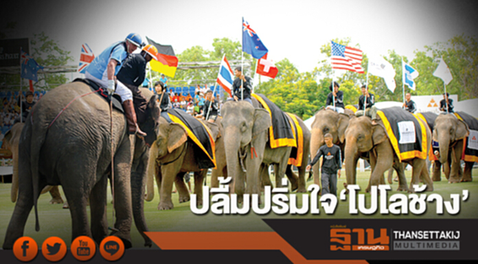 ปลื้มปริ่มใจ‘โปโลช้าง’ ปลื้มปริ่มใจ‘โปโลช้าง’