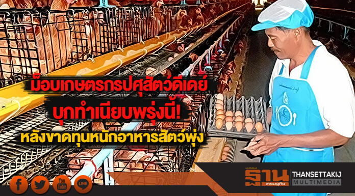 ม็อบเกษตรกรปศุสัตว์ดีเดย์บุกทำเนียบพรุ่งนี้ หลังขาดทุนหนัก อาหารสัตว์พุ่ง