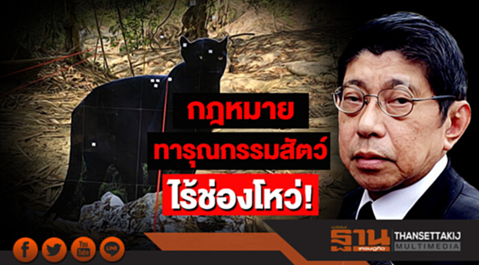 “วิษณุ” ยันกม.ทารุณกรรมสัตว์ ไร้ช่องโหว่! "เปรมชัย" พ้นข้อหาเหตุพ.ร.บ. ระบุชนิดของสัตว์ไม่ครอบคลุม “วิษณุ” ยันกม.ทารุณกรรมสัตว์ ไร้ช่องโหว่! "เปรมชัย" พ้นข้อหาเหตุพ.ร.บ. ระบุชนิดของสัตว์ไม่ครอบคลุม