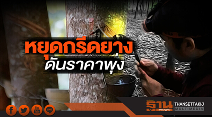 หยุดกรีดยางดันราคาพุ่ง พ่อค้าพล่านแข่งซื้อตุน-‘กฤษฎา’ ถก3ทูตดึงร่วมวง หยุดกรีดยางดันราคาพุ่ง พ่อค้าพล่านแข่งซื้อตุน-‘กฤษฎา’ ถก3ทูตดึงร่วมวง