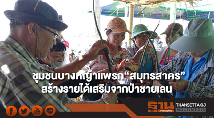 ชุมชนบางหญ้าแพรก“สมุทรสาคร” สร้างรายได้เสริมจากป่าชายเลน ชุมชนบางหญ้าแพรก“สมุทรสาคร” สร้างรายได้เสริมจากป่าชายเลน