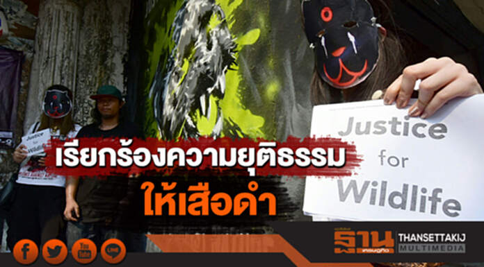 "ศิลปินกราฟฟิตี้" วาดภาพบนกำแพง เรียกร้องความยุติธรรมให้เสือดำ "ศิลปินกราฟฟิตี้" วาดภาพบนกำแพง เรียกร้องความยุติธรรมให้เสือดำ