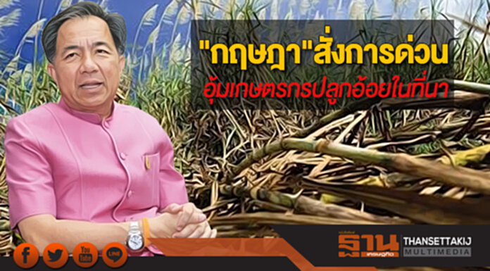 "กฤษฎา"สั่งการด่วนที่สุดอุ้มเกษตรกรปลูกอ้อยในที่นา หวั่นโรงงานน้ำตาลทิ้งหลังราคาตกต่ำ "กฤษฎา"สั่งการด่วนที่สุดอุ้มเกษตรกรปลูกอ้อยในที่นา หวั่นโรงงานน้ำตาลทิ้งหลังราคาตกต่ำ
