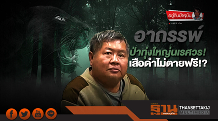 อาถรรพ์ ‘ป่าทุ่งใหญ่’ เสือดำไม่ตายฟรี!? อาถรรพ์ ‘ป่าทุ่งใหญ่’ เสือดำไม่ตายฟรี!?