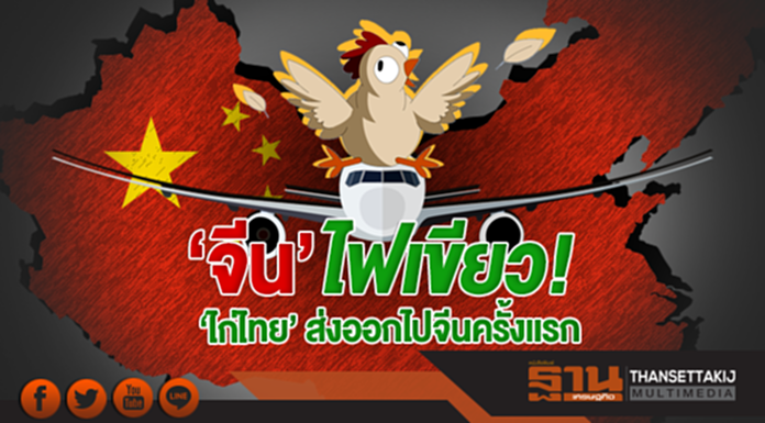 'จีน' ไฟเขียว! 'ไก่ไทย' ส่งออกไปจีนครั้งแรก 'จีน' ไฟเขียว! 'ไก่ไทย' ส่งออกไปจีนครั้งแรก