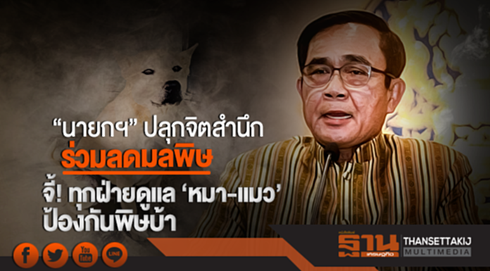 "นายกฯ" ปลุกจิตสำนึกร่วมลดมลพิษ จี้! ทุกฝ่ายดูเเล 'หมา-เเมว' ป้องกันพิษบ้า "นายกฯ" ปลุกจิตสำนึกร่วมลดมลพิษ จี้! ทุกฝ่ายดูเเล 'หมา-เเมว' ป้องกันพิษบ้า