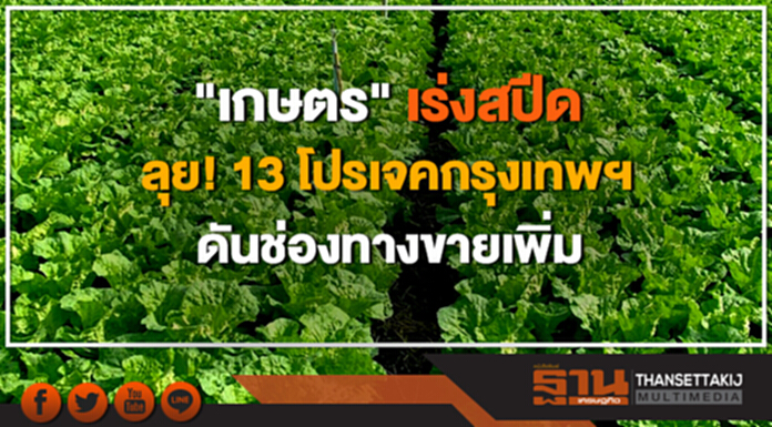 "เกษตร" เร่งสปีด ลุย! 13 โปรเจคกรุงเทพฯ ดันช่องทางขายเพิ่ม "เกษตร" เร่งสปีด ลุย! 13 โปรเจคกรุงเทพฯ ดันช่องทางขายเพิ่ม