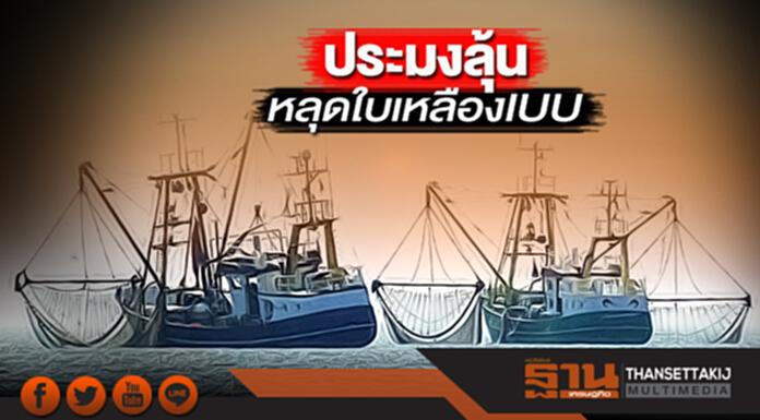 ประมงลุ้นหลุดใบเหลืองIUU สั่งคุมเข้มเรือเสี่ยงผิดก.ม.ก่อนอียูประเมินครั้งสุดท้าย ประมงลุ้นหลุดใบเหลืองIUU สั่งคุมเข้มเรือเสี่ยงผิดก.ม.ก่อนอียูประเมินครั้งสุดท้าย
