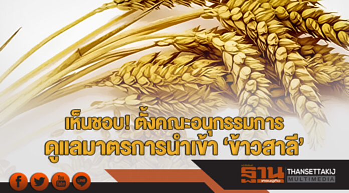 เห็นชอบ! ตั้งคณะอนุกรรมการดูแลมาตรการนำเข้า 'ข้าวสาลี' เห็นชอบ! ตั้งคณะอนุกรรมการดูแลมาตรการนำเข้า 'ข้าวสาลี'