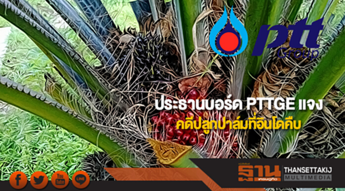 ประธานบอร์ด PTTGE แจงคดีปลูกปาล์มที่อินโดคืบ ประธานบอร์ด PTTGE แจงคดีปลูกปาล์มที่อินโดคืบ