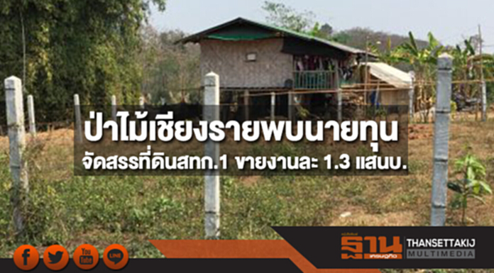 ป่าไม้เชียงรายพบนายทุนจัดสรรที่ดิน สทก.1 ขายงานละ 1.3 แสนบ. ป่าไม้เชียงรายพบนายทุนจัดสรรที่ดิน สทก.1 ขายงานละ 1.3 แสนบ.