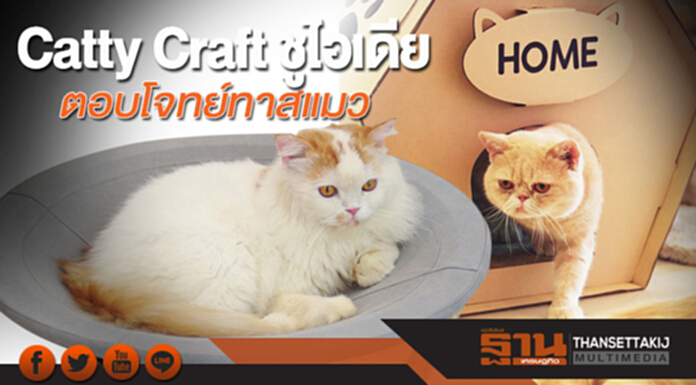 Catty Craft ชูไอเดียตอบโจทย์ทาสแมว Catty Craft ชูไอเดียตอบโจทย์ทาสแมว