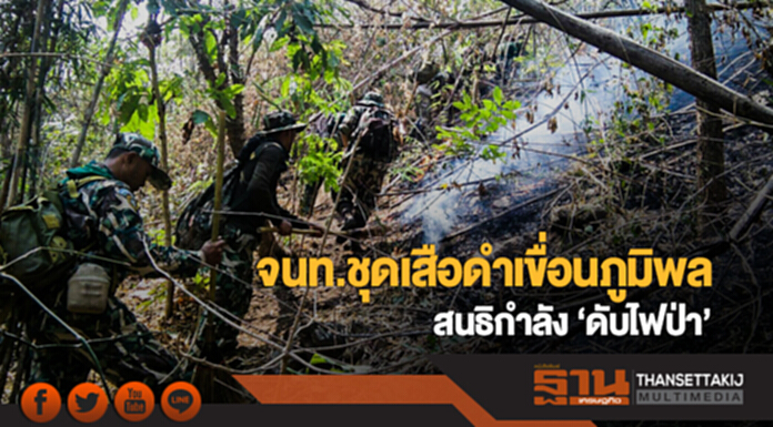 จนท.ชุดเสือดำเขื่อนภูมิพล สนธิกำลัง 'ดับไฟป่า' จนท.ชุดเสือดำเขื่อนภูมิพล สนธิกำลัง 'ดับไฟป่า'