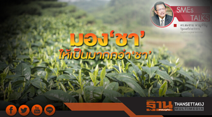 มอง‘ชา’ให้เป็นมากกว่า‘ชา’ มอง‘ชา’ให้เป็นมากกว่า‘ชา’
